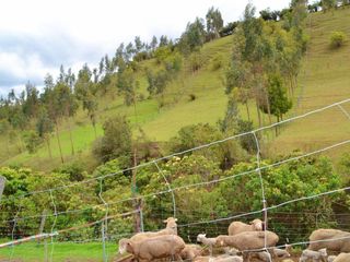 Foto 10 de Terreno Quinta en Venta en los chillos Píntag via el carmen NEGOCIABLE Via Pintag y Via Pifo Sanfgolqui al lado Iglesia Catolica del Carmen