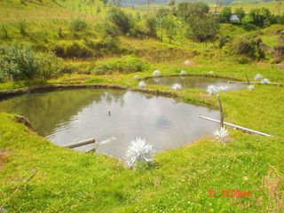 Foto 4 de Terreno Quinta en Venta en los chillos Píntag via el carmen NEGOCIABLE Via Pintag y Via Pifo Sanfgolqui al lado Iglesia Catolica del Carmen