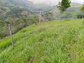 Foto 4 de ¡SE VENDE ACOGEDORA FINCA! Gran oportunidad de inversión.💥