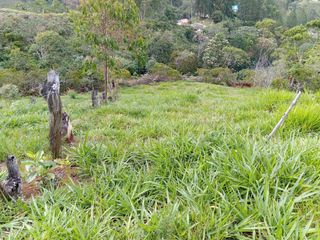 Foto 2 de ¡SE VENDE ACOGEDORA FINCA! Gran oportunidad de inversión.💥