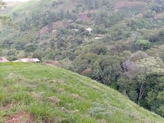 Foto 6 de ¡SE VENDE ACOGEDORA FINCA! Gran oportunidad de inversión.💥