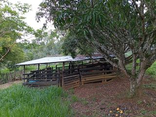 Foto 7 de ¡SE VENDE ACOGEDORA FINCA! Gran oportunidad de inversión.💥