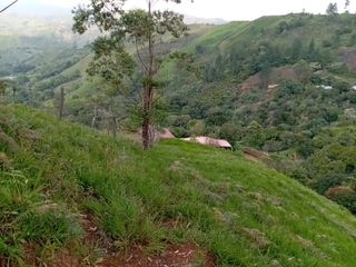Foto 8 de ¡SE VENDE ACOGEDORA FINCA! Gran oportunidad de inversión.💥