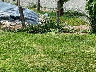 Foto 11 de 