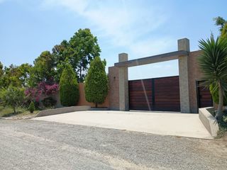 Foto 4 de 