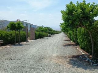 Foto 5 de 