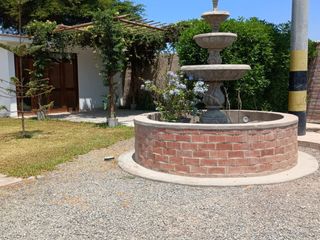 Foto 13 de 