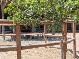 Foto 22 de 