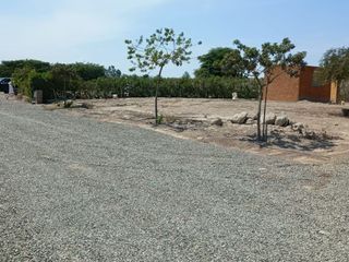 Foto 27 de 