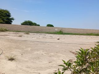 Foto 33 de 