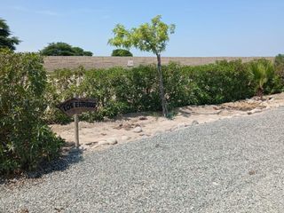 Foto 36 de 