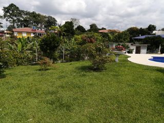 Foto 5 de **