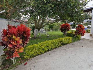 Foto 27 de **