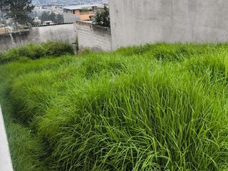 Foto 1 de TERRENO EN VENTA UBICADO EN EL VALLE DE LOS CHILLOS