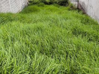 Foto 2 de TERRENO EN VENTA UBICADO EN EL VALLE DE LOS CHILLOS
