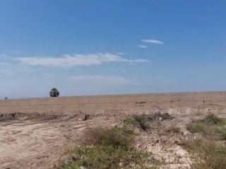 Foto 2 de REMATO TERRENO EN CHINCHA COMPLETAMENTE SANEADO PARA CONDOMINIO