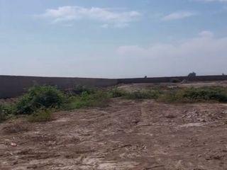 Foto 3 de REMATO TERRENO EN CHINCHA COMPLETAMENTE SANEADO PARA CONDOMINIO