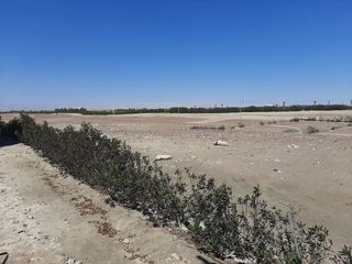 Foto 3 de LA OPORTUNIDAD PERFECTA PARA HACER TU CASA DE CAMPO EN LA JOYA!