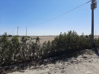 Foto 4 de LA OPORTUNIDAD PERFECTA PARA HACER TU CASA DE CAMPO EN LA JOYA!