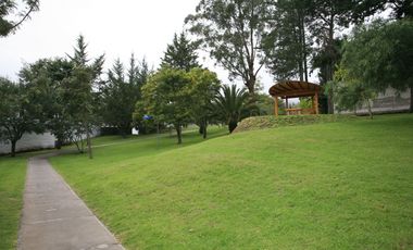 place photo 48