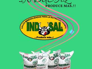 Foto 3 de Venta de Empresa de Sales Mineralizadas 50 años