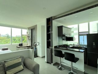 Foto 2 de APARTAMENTO AMOBLADO EN RENTA POR DIAS Y MESES - PARQUE LA ELECTRIFICADORA