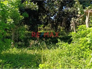 Foto 15 de Se Vende Casa De Campo De 1.5 Ha En Salas Guadalupe