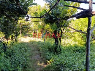 Foto 17 de Se Vende Casa De Campo De 1.5 Ha En Salas Guadalupe