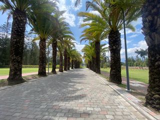 Foto 2 de VENDO HERMOSO TERRENO EN URB PRIVADA PUEMBO (SECTOR COLEGIO AMERICANO, HIGHLANDS)
