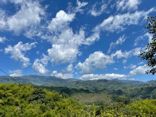Foto 5 de Venta de finca en salento Quindío