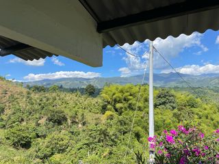 Foto 10 de Venta de finca en salento Quindío