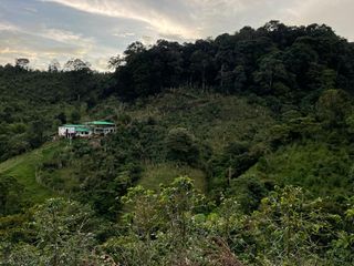 Foto 1 de Venta de finca en salento Quindío