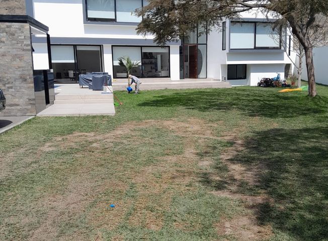 place photo 29