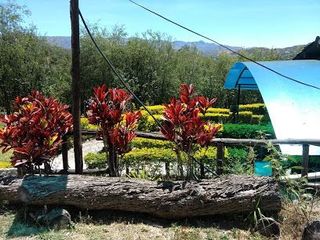 Foto 2 de CASAS CAMPESTRES EN RENTA: Quinta Kronopios, entorno ecológico