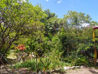 Foto 31 de CASAS CAMPESTRES EN RENTA: Quinta Kronopios, entorno ecológico