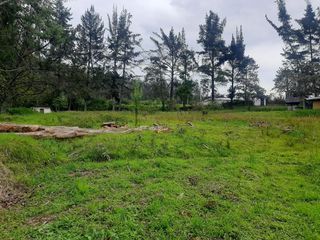 Foto 4 de TERRENO EN VENTA  10.200 m2 SECTOR CONOCOTO