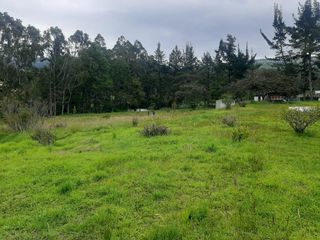 Foto 5 de TERRENO EN VENTA  10.200 m2 SECTOR CONOCOTO