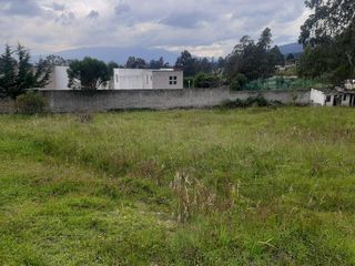 Foto 10 de TERRENO EN VENTA  10.200 m2 SECTOR CONOCOTO