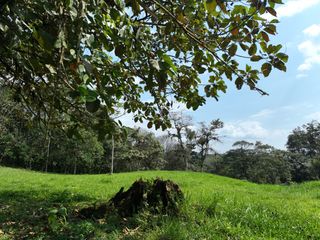Foto 7 de Venta de Hectareas al asfalto con Agua, Luz y Seguridad, cerca de Quito Ecuador