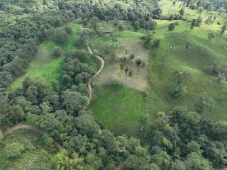 Foto 13 de Venta de Hectareas al asfalto con Agua, Luz y Seguridad, cerca de Quito Ecuador