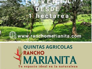 Foto 2 de Venta de Hectareas al asfalto con Agua, Luz y Seguridad, cerca de Quito Ecuador