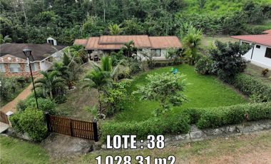place photo 45