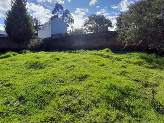 Foto 1 de VENTA DE TERRENO EN PINTAG