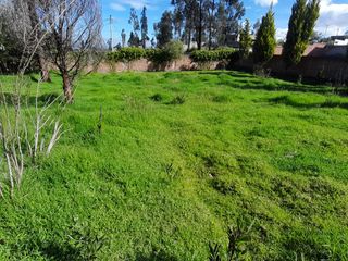 Foto 2 de VENTA DE TERRENO EN PINTAG