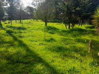 Foto 3 de VENTA DE TERRENO EN PINTAG