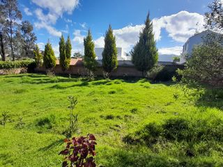 Foto 4 de VENTA DE TERRENO EN PINTAG