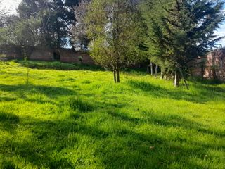Foto 5 de VENTA DE TERRENO EN PINTAG
