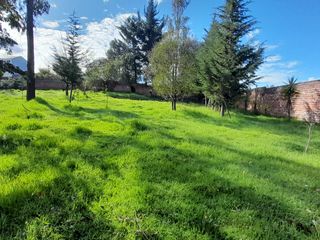 Foto 6 de VENTA DE TERRENO EN PINTAG