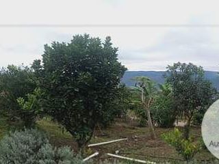 Foto 6 de DE VENTA QUINTA EN SANTA ISABEL