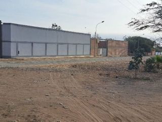 Foto 1 de ¡Gran Oportunidad De Inversión En Papa León Chilca!